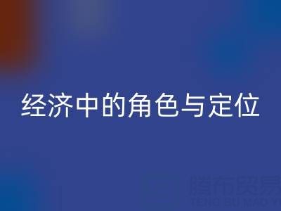 拉链星空体育(中国)官方网站STAR SPORTS厂家在循环经济中的角色与定位