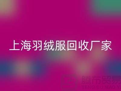 羽绒服星空体育(中国)官方网站STAR SPORTS：环保与经济的双重考量，上海厂家引领行业新风尚