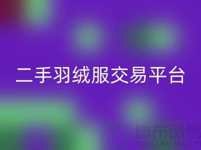 波司登羽绒服星空体育(中国)官方网站STAR SPORTS平台，二手羽绒服环保与时尚的完美结合