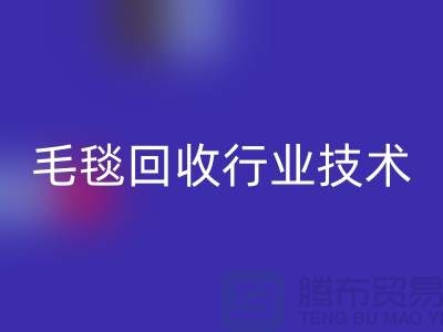 毛毯星空体育(中国)官方网站STAR SPORTS行业技术创新推动发展，政策支持力度加大
