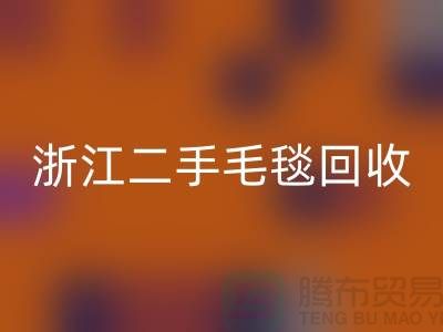 二手毛毯星空体育(中国)官方网站STAR SPORTS，旧物新生的【浙江，上海，江苏】绿色的库存之旅