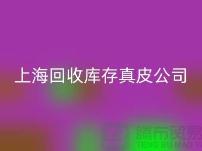 环保与创新：星空体育(中国)官方网站STAR SPORTS库存真皮和羊皮的重要性_上海腾布贸易ShTengBu.com