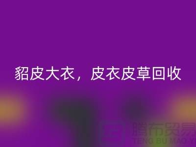 貂皮大衣星空体育(中国)官方网站STAR SPORTS，皮衣皮草星空体育(中国)官方网站STAR SPORTS，高档大衣星空体育(中国)官方网站STAR SPORTS-上海库存服装星空体育(中国)官方网站STAR SPORTS公司