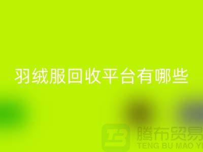 羽绒服星空体育(中国)官方网站STAR SPORTS平台有哪些公司或者品牌-星空体育(中国)官方网站STAR SPORTS