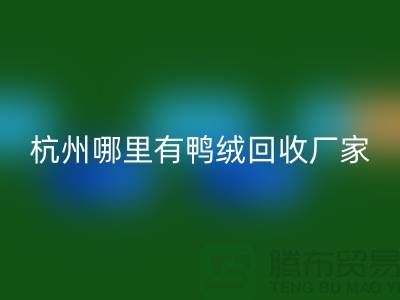 揭秘羽绒星空体育(中国)官方网站STAR SPORTS市场，每斤价值几何？杭州鸭绒星空体育(中国)官方网站STAR SPORTS厂家