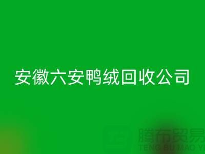 让羽绒星空体育(中国)官方网站STAR SPORTS加工成为绿色产业的新引擎-安徽六安鸭绒星空体育(中国)官方网站STAR SPORTS公司