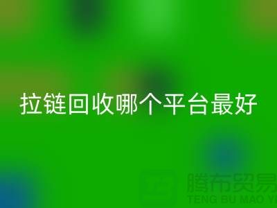 ### 废旧拉链星空体育(中国)官方网站STAR SPORTS哪个平台最好-箱包拉链星空体育(中国)官方网站STAR SPORTS市场