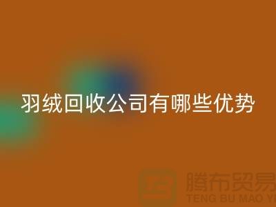 ### 上海羽绒星空体育(中国)官方网站STAR SPORTS公司优势解析：价格公道，服务优质