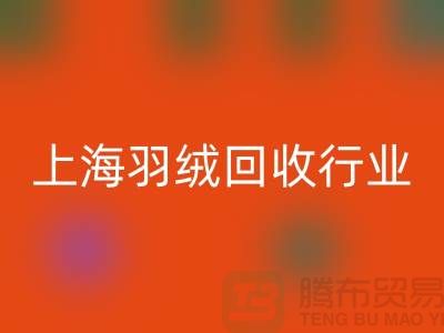#### 上海羽绒星空体育(中国)官方网站STAR SPORTS厂家推动行业发展，展望未来，创新发展