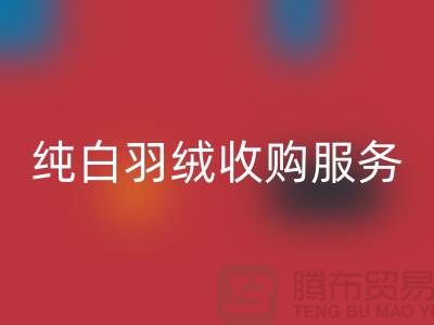 【环保与效益并存】库存羽绒星空体育(中国)官方网站STAR SPORTS与纯白羽绒收购服务