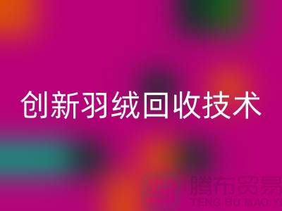 创新羽绒星空体育(中国)官方网站STAR SPORTS技术，环保的未来