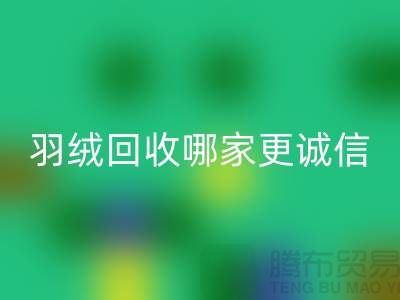 ### 揭秘上海羽绒星空体育(中国)官方网站STAR SPORTS厂家：哪家更诚信？腾布贸易ShtengHu.com