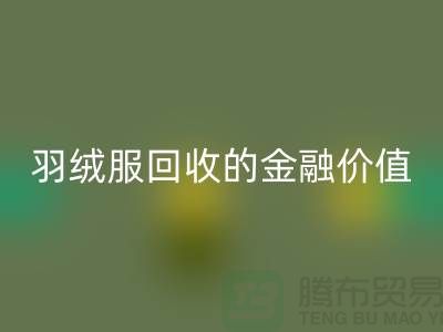了解羽绒服星空体育(中国)官方网站STAR SPORTS的金融价值-浙江鸭绒星空体育(中国)官方网站STAR SPORTS厂家