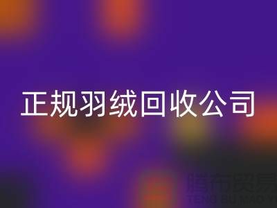 正规羽绒星空体育(中国)官方网站STAR SPORTS公司 —— 您的羽绒服、羽绒被及羽绒制品的环保再生伙伴