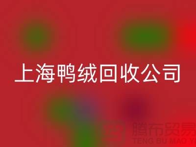 鸭绒星空体育(中国)官方网站STAR SPORTS公司 - 您的羽绒旧物重生之路 - 星空体育(中国)官方网站STAR SPORTS
