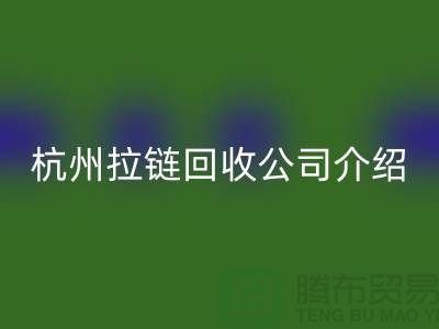 库存拉链星空体育(中国)官方网站STAR SPORTS市场前景分析——杭州拉链星空体育(中国)官方网站STAR SPORTS公司篇