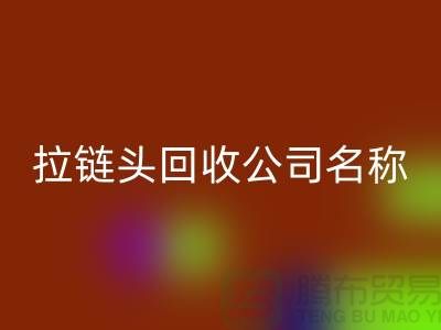 ### 拉链头星空体育(中国)官方网站STAR SPORTS公司名称的选择与品牌塑造-上海拉链星空体育(中国)官方网站STAR SPORTS厂家