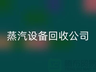 锅炉设备星空体育(中国)官方网站STAR SPORTS厂家：环保与经济效益的完美结合-蒸汽设备星空体育(中国)官方网站STAR SPORTS公司