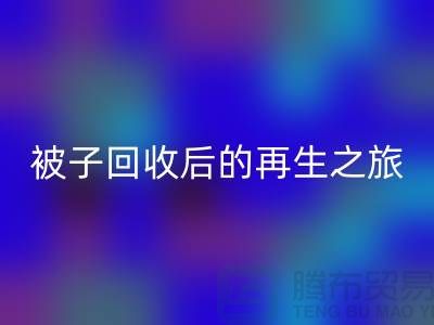 被子星空体育(中国)官方网站STAR SPORTS后的再生之旅