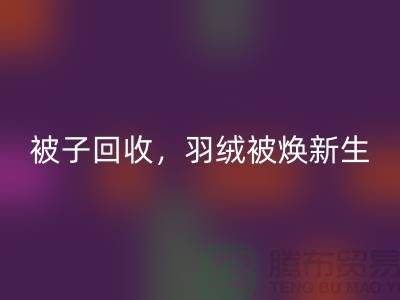 全新被子星空体育(中国)官方网站STAR SPORTS，羽绒被焕新生——江苏南通家纺城引领绿色未来