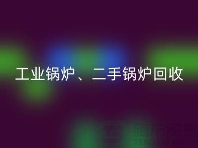 工业锅炉星空体育(中国)官方网站STAR SPORTS：环保与经济效益的完美结合-二手锅炉星空体育(中国)官方网站STAR SPORTS公司