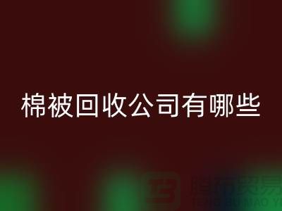 棉被星空体育(中国)官方网站STAR SPORTS公司有哪些—浙江库存面料星空体育(中国)官方网站STAR SPORTS厂家：环保与经济的双重助力