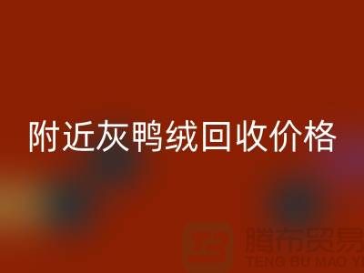 附近灰鸭绒星空体育(中国)官方网站STAR SPORTS价格多少钱一公斤？##上海腾布贸易