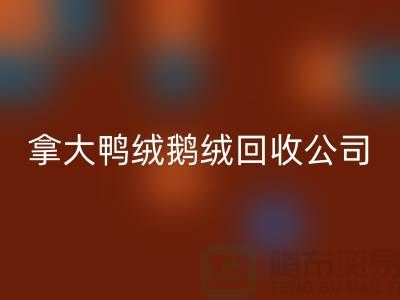 探秘加拿大鸭绒鹅绒星空体育(中国)官方网站STAR SPORTS公司：环保与品质的双重坚守