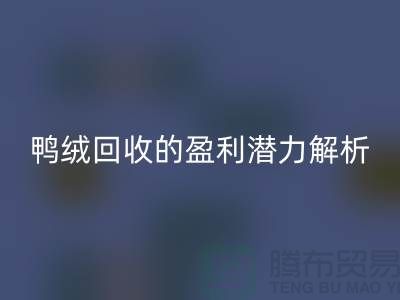 鸭绒星空体育(中国)官方网站STAR SPORTS的盈利潜力解析——上海腾布贸易地址