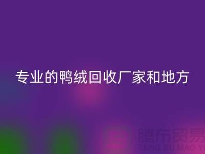 探索鸭绒星空体育(中国)官方网站STAR SPORTS：寻找上海专业的星空体育(中国)官方网站STAR SPORTS厂家与地方