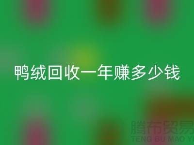 鸭绒星空体育(中国)官方网站STAR SPORTS一年挣多少钱？揭秘利润与环保的双重收益