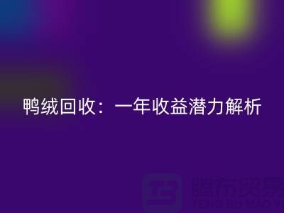 鸭绒星空体育(中国)官方网站STAR SPORTS：一年收益潜力解析@上海腾布贸易