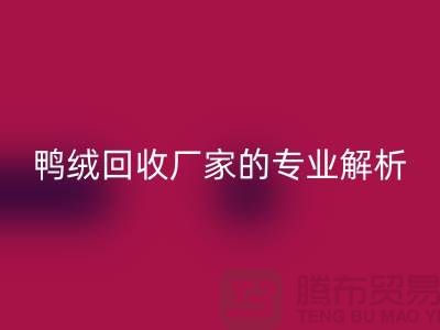 90%白鹅绒、90%白鸭绒与90%灰鸭绒：上海鸭绒星空体育(中国)官方网站STAR SPORTS厂家的专业解析