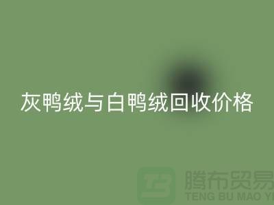 ### 灰鸭绒与白鸭绒：价格及星空体育(中国)官方网站STAR SPORTS详解