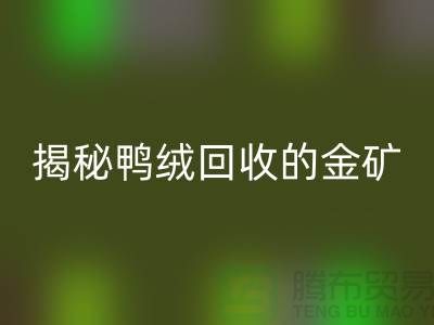 揭秘鸭绒星空体育(中国)官方网站STAR SPORTS的金矿，一年能挣多少钱？上海羽绒星空体育(中国)官方网站STAR SPORTS厂家