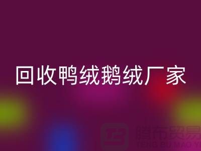 探寻高品质星空体育(中国)官方网站STAR SPORTS鸭绒鹅绒厂家