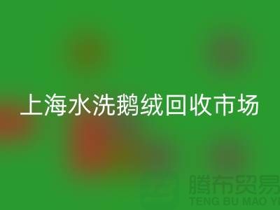 精品羽绒星空体育(中国)官方网站STAR SPORTS行情、高端鸭绒星空体育(中国)官方网站STAR SPORTS价格、上海水洗鹅绒星空体育(中国)官方网站STAR SPORTS市场