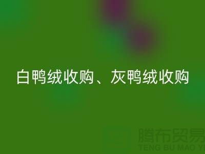 白鸭绒收购、灰鸭绒收购、白鹅绒收购、灰鹅绒收购、上海羽绒星空体育(中国)官方网站STAR SPORTS厂家
