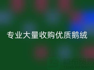 专业羽绒星空体育(中国)官方网站STAR SPORTS：大量收购优质鹅绒与鸭绒@上海腾布贸易公司