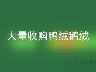 专业羽绒星空体育(中国)官方网站STAR SPORTS-大量收购鸭绒鹅绒-杭州服装星空体育(中国)官方网站STAR SPORTS厂家