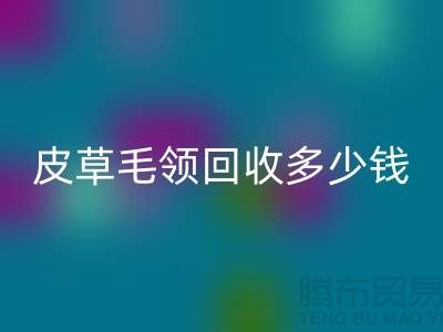 真皮皮衣皮草毛领星空体育(中国)官方网站STAR SPORTS多少钱一个？-上海腾布贸易