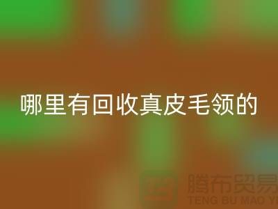 哪里有星空体育(中国)官方网站STAR SPORTS真皮毛领的地方-星空体育(中国)官方网站STAR SPORTS
