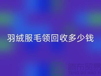 羽绒服毛领星空体育(中国)官方网站STAR SPORTS多少钱一件