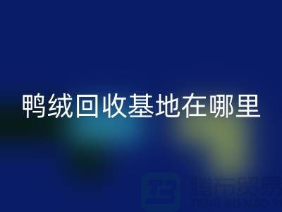哪里有星空体育(中国)官方网站STAR SPORTS鸭绒的，鸭绒星空体育(中国)官方网站STAR SPORTS基地在哪里@安徽羽绒星空体育(中国)官方网站STAR SPORTS厂家