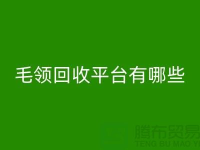 毛领星空体育(中国)官方网站STAR SPORTS平台有哪些公司或者品牌
