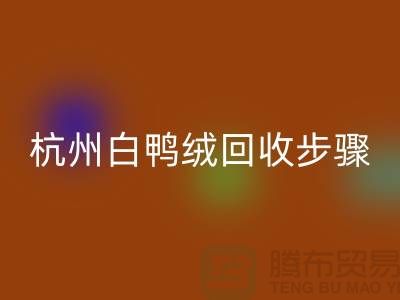 ### 纯白 70 绒、80 绒、90 鸭绒星空体育(中国)官方网站STAR SPORTS步骤@杭州羽绒星空体育(中国)官方网站STAR SPORTS厂家