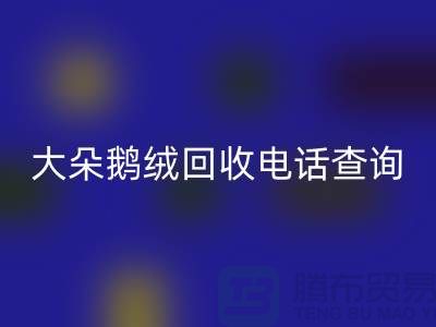 ### 日标羽绒星空体育(中国)官方网站STAR SPORTS，大朵鹅绒星空体育(中国)官方网站STAR SPORTS电话查询，南京鸭绒星空体育(中国)官方网站STAR SPORTS公司