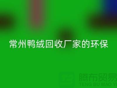 # 专业羽绒星空体育(中国)官方网站STAR SPORTS：常州鸭绒星空体育(中国)官方网站STAR SPORTS厂家的环保与价值之旅