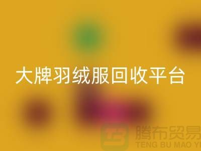 羽绒服焕新记：大牌星空体育(中国)官方网站STAR SPORTS，温暖再续