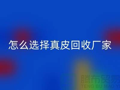 ####广州知名星空体育(中国)官方网站STAR SPORTS库存皮革厂家推荐-怎么选择真皮星空体育(中国)官方网站STAR SPORTS厂家